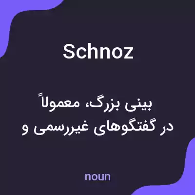 معنی schnoz به فارسی معنی schnoz به فارسی