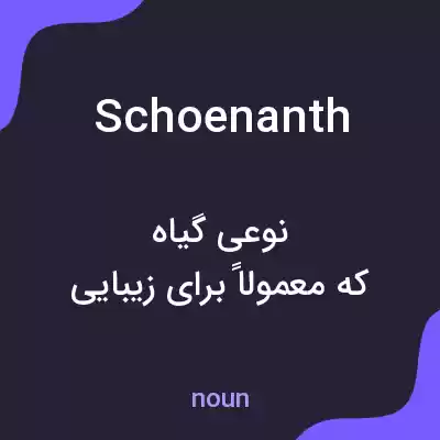 معنی schoenanth به فارسی معنی schoenanth به فارسی