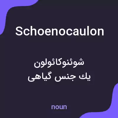 معنی schoenocaulon به فارسی معنی schoenocaulon به فارسی