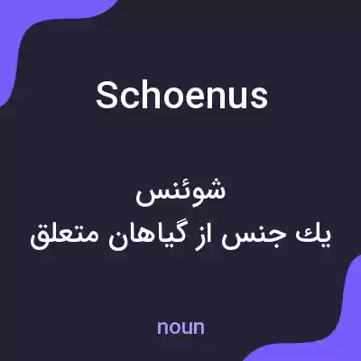 معنی schoenus به فارسی معنی schoenus به فارسی