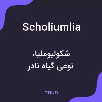 معنی scholiumlia به فارسی معنی scholiumlia به فارسی