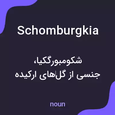 معنی schomburgkia به فارسی معنی schomburgkia به فارسی