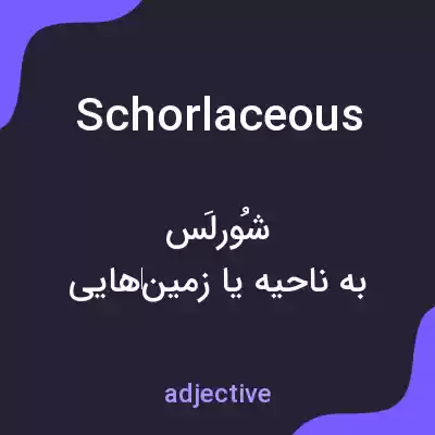 معنی schorlaceous به فارسی معنی schorlaceous به فارسی
