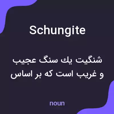 معنی schungite به فارسی