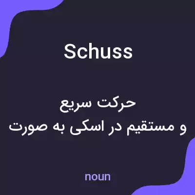 معنی schuss به فارسی معنی schuss به فارسی