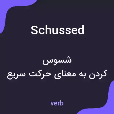 معنی schussed به فارسی معنی schussed به فارسی