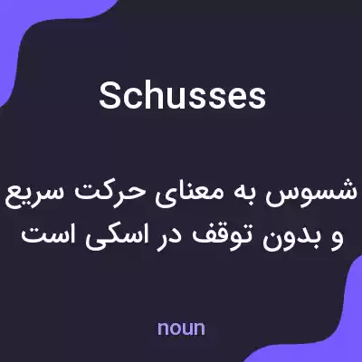 معنی schusses به فارسی معنی schusses به فارسی