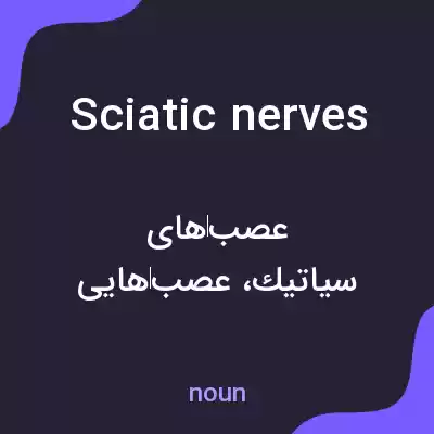 معنی sciatic nerves به فارسی معنی sciatic nerves به فارسی