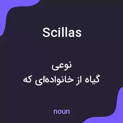 معنی scillas به فارسی