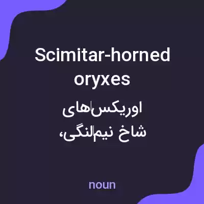 معنی scimitar-horned oryxes به فارسی