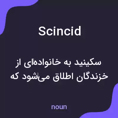 معنی scincid به فارسی معنی scincid به فارسی