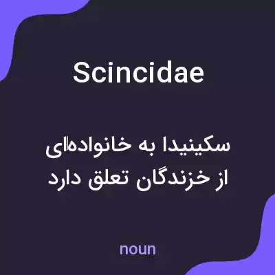 معنی scincidae به فارسی