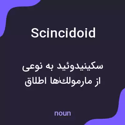 معنی scincidoid به فارسی معنی scincidoid به فارسی