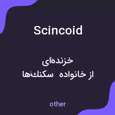 معنی scincoid به فارسی معنی scincoid به فارسی