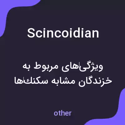 معنی scincoidian به فارسی معنی scincoidian به فارسی