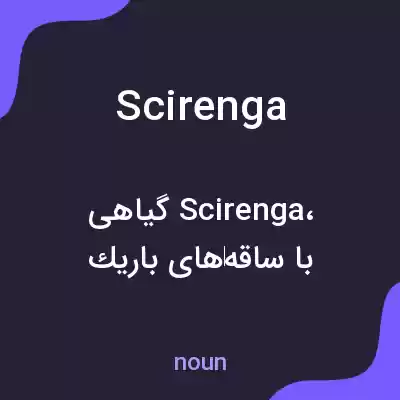 معنی scirenga به فارسی معنی scirenga به فارسی