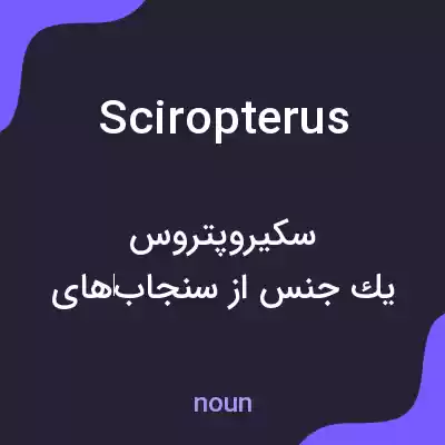 معنی sciropterus به فارسی معنی sciropterus به فارسی