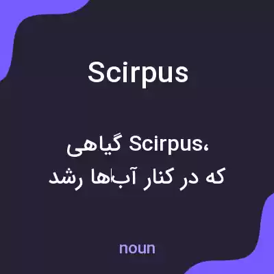 معنی scirpus به فارسی معنی scirpus به فارسی