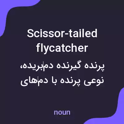 معنی scissor-tailed flycatcher به فارسی معنی scissor-tailed flycatcher به فارسی