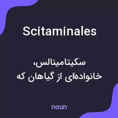 معنی scitaminales به فارسی معنی scitaminales به فارسی