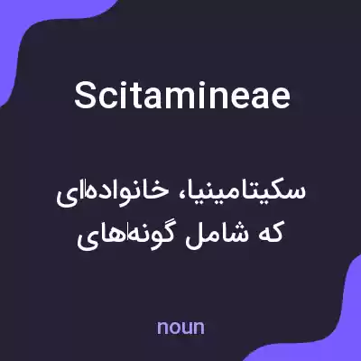 معنی scitamineae به فارسی معنی scitamineae به فارسی