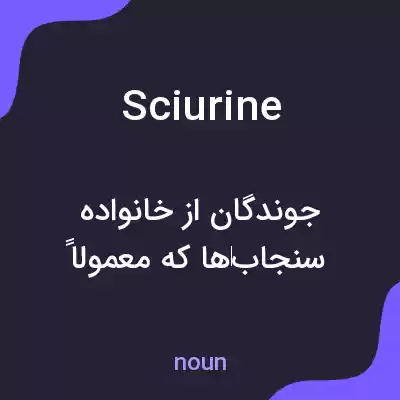 معنی sciurine به فارسی