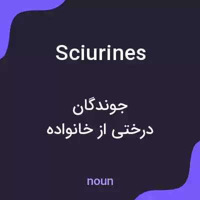 معنی sciurines به فارسی معنی sciurines به فارسی