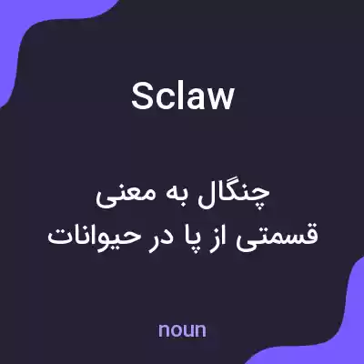 معنی sclaw به فارسی معنی sclaw به فارسی