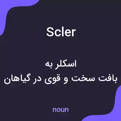 معنی scler به فارسی معنی scler به فارسی