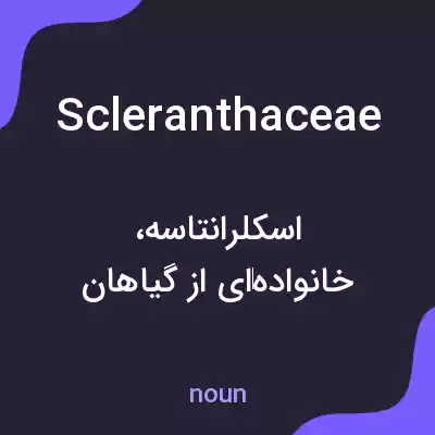 معنی scleranthaceae به فارسی معنی scleranthaceae به فارسی