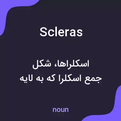 معنی scleras به فارسی معنی scleras به فارسی