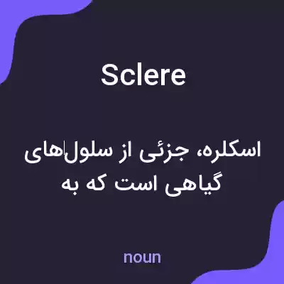 معنی sclere به فارسی معنی sclere به فارسی