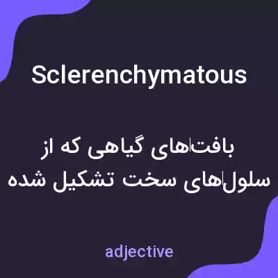 معنی sclerenchymatous به فارسی معنی sclerenchymatous به فارسی