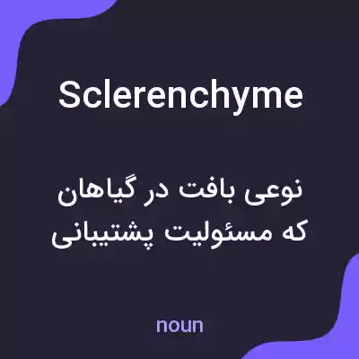 معنی sclerenchyme به فارسی معنی sclerenchyme به فارسی