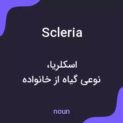 معنی scleria به فارسی معنی scleria به فارسی