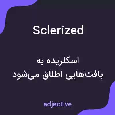 معنی sclerized به فارسی معنی sclerized به فارسی