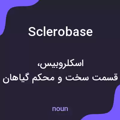 معنی sclerobase به فارسی معنی sclerobase به فارسی