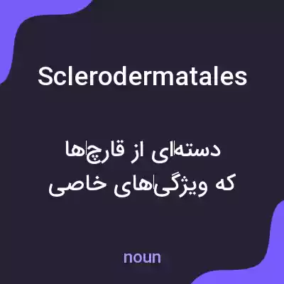 معنی sclerodermatales به فارسی معنی sclerodermatales به فارسی