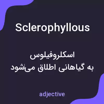 معنی sclerophyllous به فارسی معنی sclerophyllous به فارسی