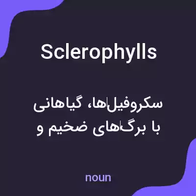 معنی sclerophylls به فارسی معنی sclerophylls به فارسی