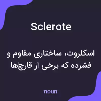 معنی sclerote به فارسی معنی sclerote به فارسی