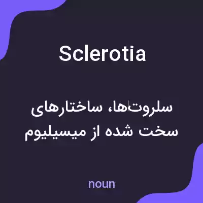 معنی sclerotia به فارسی معنی sclerotia به فارسی