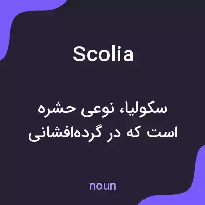 معنی scolia به فارسی معنی scolia به فارسی