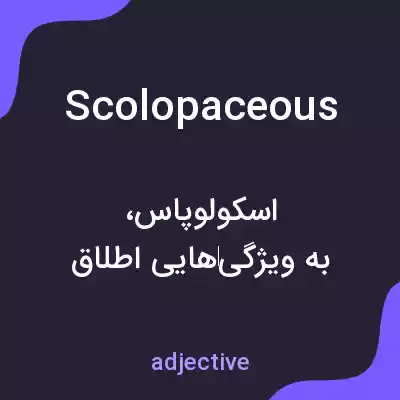 معنی scolopaceous به فارسی معنی scolopaceous به فارسی