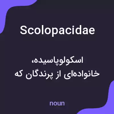 معنی scolopacidae به فارسی معنی scolopacidae به فارسی
