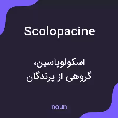 معنی scolopacine به فارسی معنی scolopacine به فارسی
