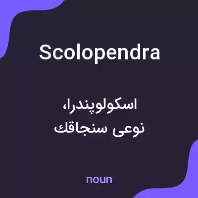 معنی scolopendra به فارسی معنی scolopendra به فارسی