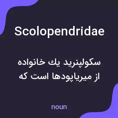 معنی scolopendridae به فارسی معنی scolopendridae به فارسی