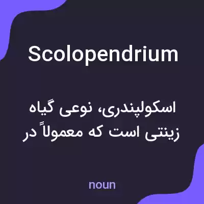 معنی scolopendrium به فارسی معنی scolopendrium به فارسی
