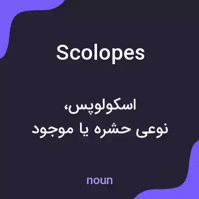 معنی scolopes به فارسی معنی scolopes به فارسی